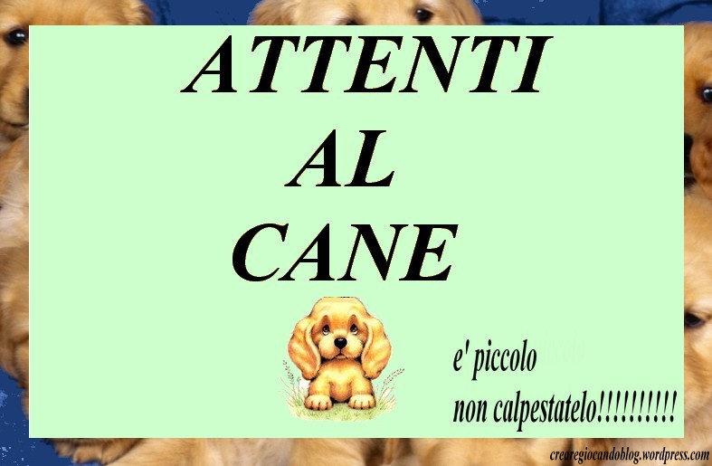 cani piccoli