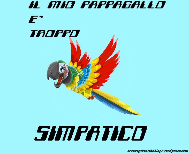 pappagallo